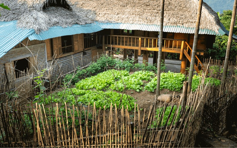 Các homestay khu vực Pù Luông cũng là một trong những địa điểm check-in Thanh Hóa